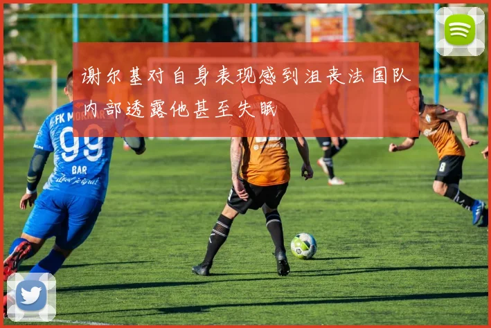 谢尔基对自身表现感到沮丧法国队内部透露他甚至失眠