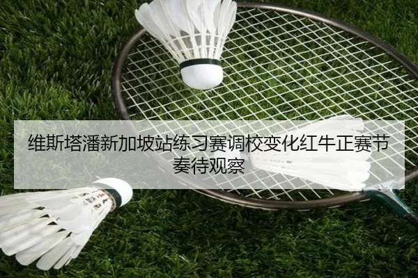 维斯塔潘新加坡站练习赛调校变化红牛正赛节奏待观察 - www.jiuyou..comapp